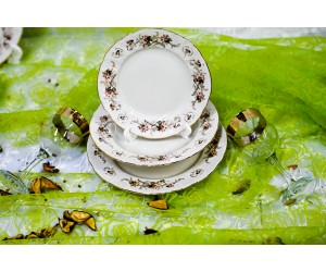 2011 - סט 18 צלחות