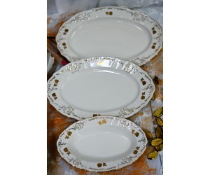 עלה זהב - פלטות הגשה