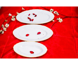 פס זהב לבן - פלטות הגשה