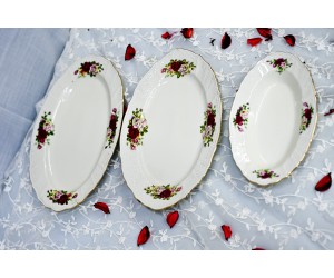 שושנה אדומה - פלטות הגשה