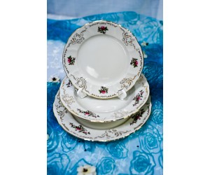 שושנת החוחים - 18 צלחות