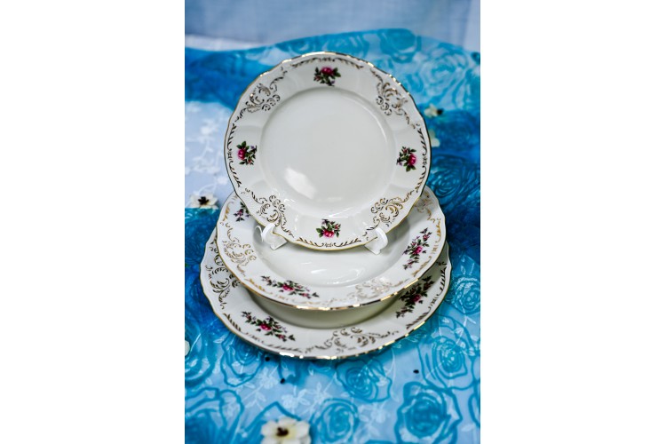 שושנת החוחים - 18 צלחות