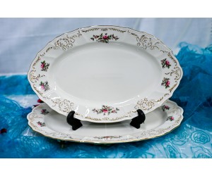 שושנת החוחים - פלטות הגשה