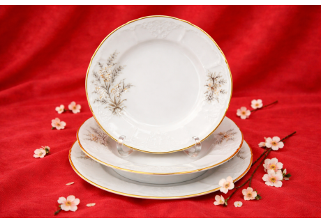 שיבולת זהב - 18 צלחות