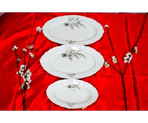 שיבולת זהב - פלטות הגשה