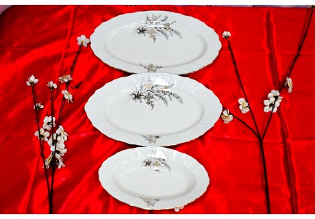 שיבולת זהב - פלטות הגשה