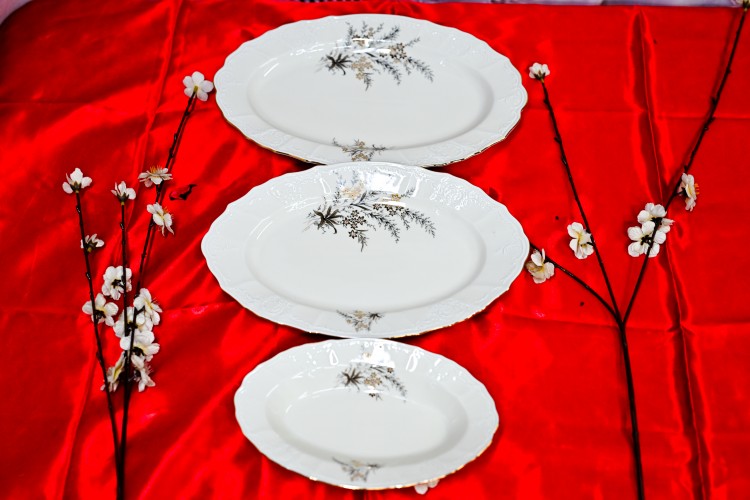 שיבולת זהב - פלטות הגשה