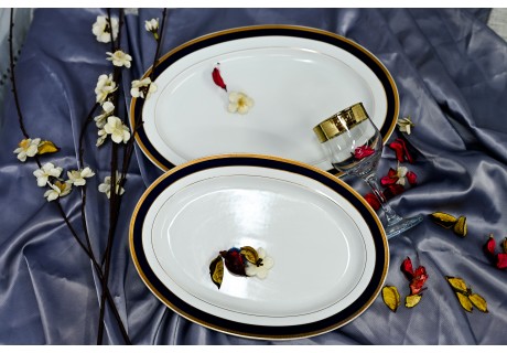 סילביה קובלט - פלטות הגשה