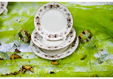 2011 - סט 18 צלחות