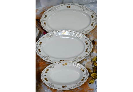 עלה זהב - פלטות הגשה