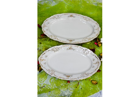 פרח נרקיס - פלטות הגשה