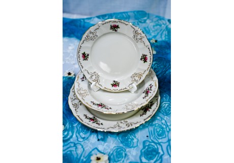 שושנת החוחים - 18 צלחות