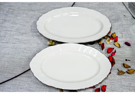 שנהב כסף - פלטות הגשה